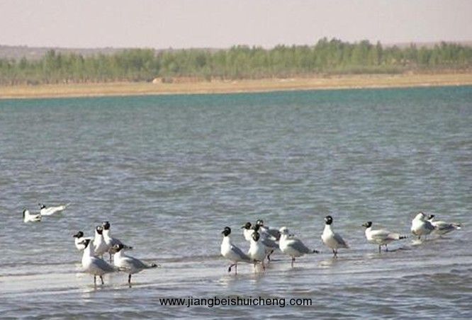 【走遍中國(guó)·景點(diǎn)篇】陜西·福地湖 【走遍中國(guó)·景點(diǎn)篇】陜西·福地湖