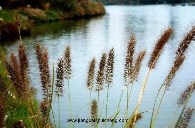 【走遍中國(guó)·景點(diǎn)篇】陜西·福地湖 【走遍中國(guó)·景點(diǎn)篇】陜西·福地湖